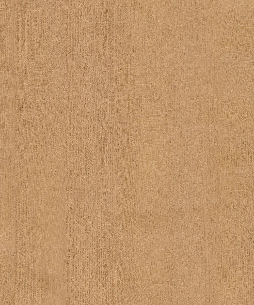 BS-S0066