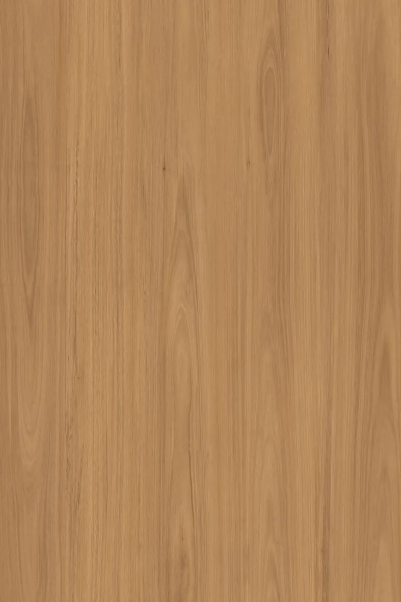 65S001